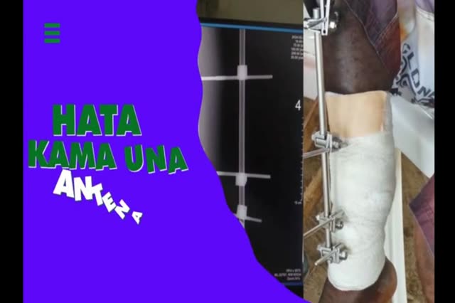Vengaza E1