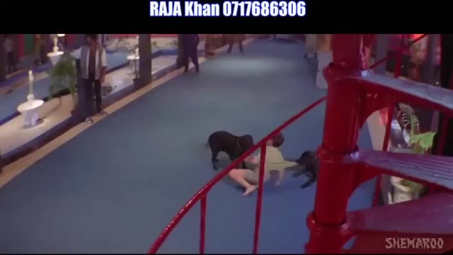 Jaanwar E17
