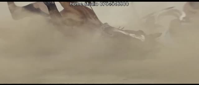 Blades Of The Guardians Wind Rises In The Desert E9