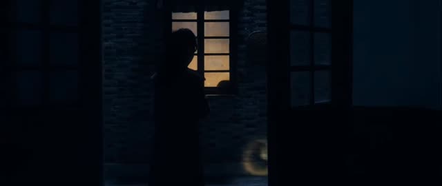 Ip Man Kung Fu Legend E8