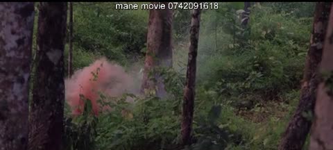 Men Of War E6