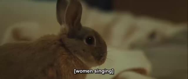 Wingwomen E3