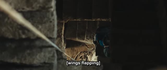Wingwomen E8