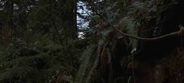 First Blood E9