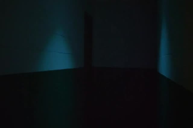 Contamination E6
